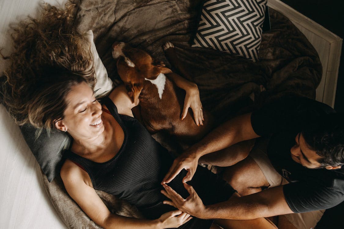 Casal feliz com seu pet em seu novo imóvel comprado na Apê3D